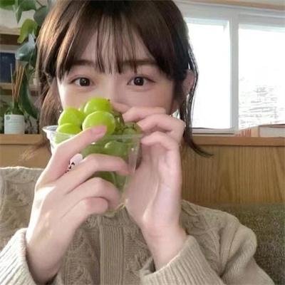 探案拍档第四季